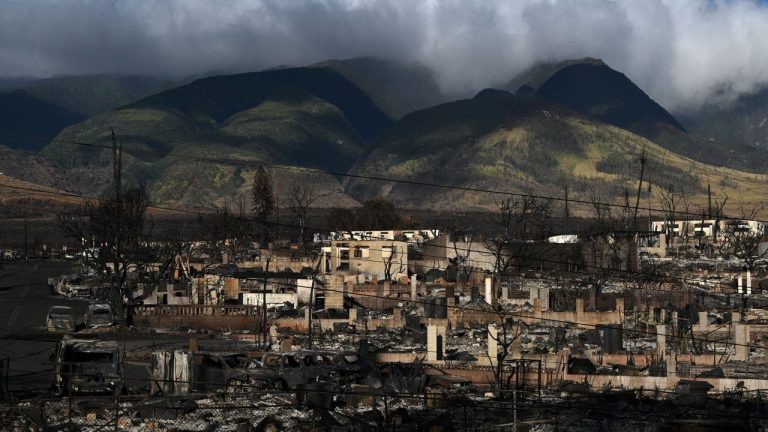 Deadly Maui wildfires inflict multibillion-dollar blow to Hawaii’s economy