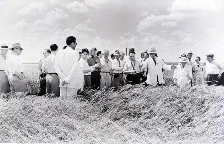 Securing key supplies of food like wheat to a world in escalating turmoil and war is a must and will lead to significant stockpiling demandn