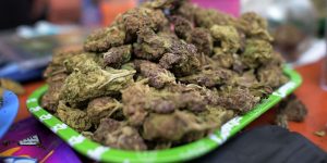 Organigram’s stock soars as British American Tobacco invests $91.3 million