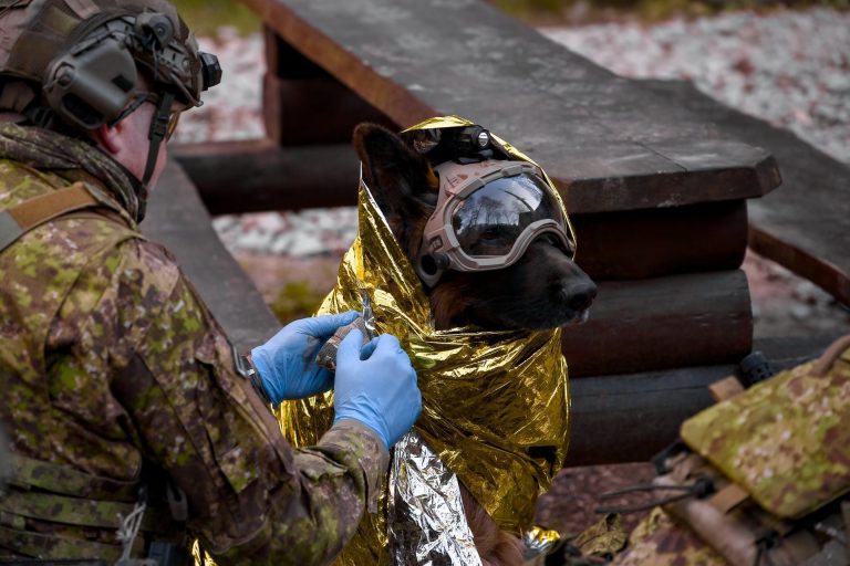 5 Unlikely Inventions That Made Millions for Savvy Americans